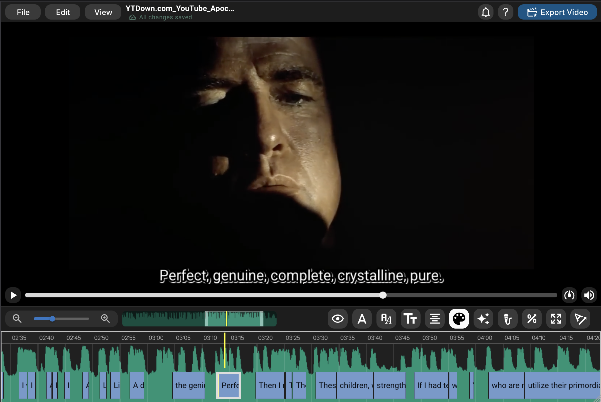 CutCaption editor showing video preview, subtitle timeline, and caption editing controls
